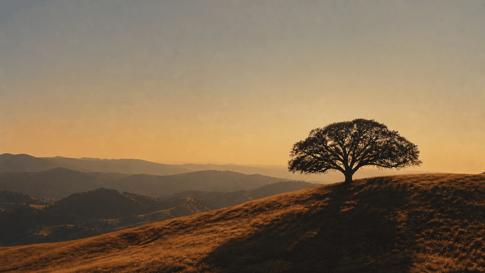 Lone valley oak silhouetted on a golden ridgeline at dusk, hazy ridges layered behind